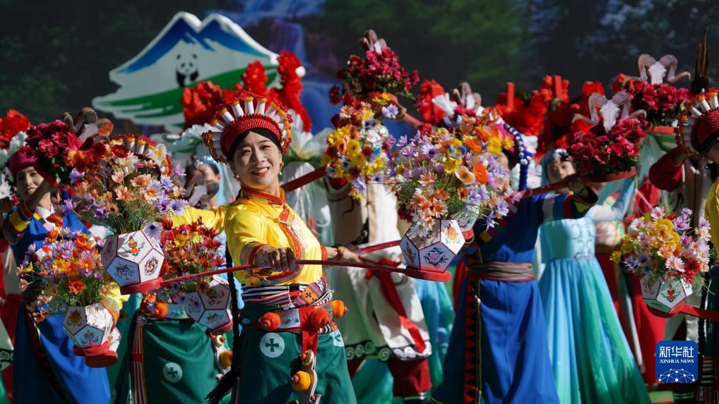 奔驰宝马怎么压分保本